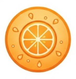 New Launch